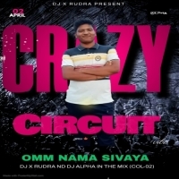 OM NAMASHIVAYA (CIRCUIT) DJ RUDRA PIPILI ND DJ ALPHA IN THE MIX.mp3