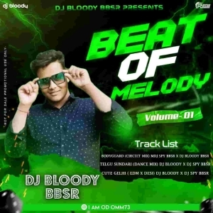 BODYGUARD (CIRCUIT MIX) DJ SPY BBSR X DJ BLOODY BBSR.mp3