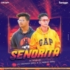 Senorita (Xv Tapori Mix) Dj Santosh Patel Nd Dj Dinesh Patel