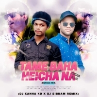 TAME BAHA HEICHA NA BADUA ACHA (TRANCE MIX) DJ KANHA KD X DJ SIBRAM REMIX.mp3