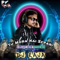 Tu Mora Nai Separi (Circuit Mix) Dj Raja Udala.mp3