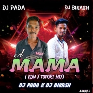 A Mama (Tapori Edm Mix) Dj Pada X Dj Bikash Remix.mp3