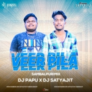 Veer Pilla Remix - Dj Satyajit x Dj Papu 2023.mp3