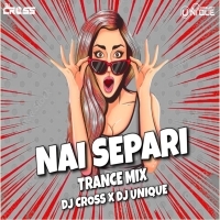 Tu Mora Nai Separi (Trance Mix) Dj Cross x Dj Unique R4mx.mp3