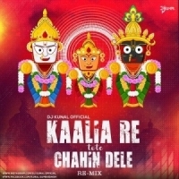 Kaalia Re Tote Chahin Dele (Re-Mix) Dj Kunal Official.mp3