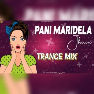 PANI MARIDELA JHAIN (TRANCE MIX) DJ X BLACK.mp3