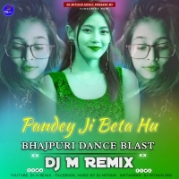 Pandey Ji Beta Hu (Bhajpuri Dance Blast) Dj M Remix.mp3