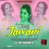 Chhita Jawani Ke (Bhajpuri Dance Blast) Dj M Remix