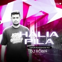 Halia Pila (Topari RoadShow Mix) Dj Robin.mp3