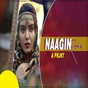 Main Teri Dushman Naagin (Remix) - A Prjkt.mp3