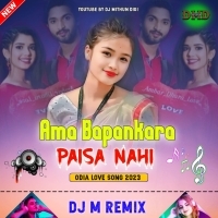 Ama Bapankara Paisa Nahi (Odia Love Song) Dj M Remix.mp3