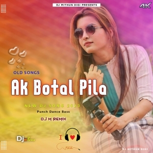 Ak Botal Pila Botole (Power Humper Bass) Dj M Remix.mp3