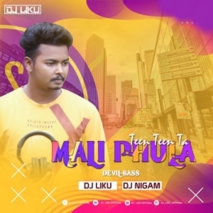 Malli Phula Teen Teen Ta (Devil Bass) Dj Liku X Dj Nigam.mp3