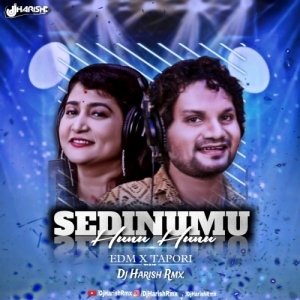 Sedinu Mu Hunu Hunu (Edm X Tapori) Dj Harish Rmx.mp3