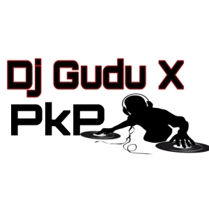 Ranga Lata (Humming) Dj Gudu x Pkp.mp3