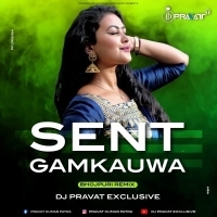 Sent Gamkauwa (Bhojpuri Remix) Dj Pravat Exclusive.mp3