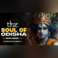 THE SOUL OF ODISHA (EDM DROP) DJ BIDDU ND DJ ADITYA.mp3