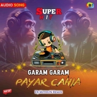 Garam Garam Payar Cahia (Dance Mix) Dj MithuN Back.mp3