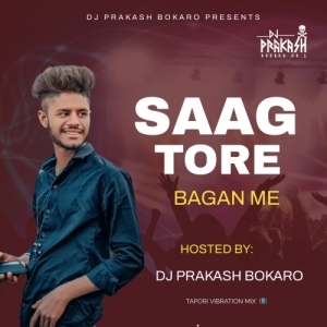 Saag Tore Jahe Bagan Me (Tapori Vibration) Dj Prakash Bokaro.mp3