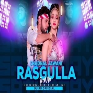 Chadhal Jawani Rasgulla (Troll Remix) DJ RD OFFICIAL.mp3