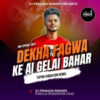 Dekha Fagua Ke Aigele Bahaar (Tapori Vibration Mix) Dj Prakash Bokaro.mp3