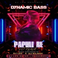 PAPULIRE TO NAA (DYNAMIC BASS) DJ LEO X DJ RAJESH KDP.mp3