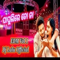 Papulire To Naa (Edm Vol.1) Dj Lalu Official.mp3