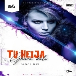 TU HEIJA GHARA WALI (REMIX) DJ FREESTYLZ Nd DJ D NOIZ.mp3