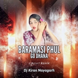 BARAMASI PHUL GO DHANA - INSTAGRAM VIRAL REMIX (CIRCUIT REMIX) DJ KIRAN NAYAGARH.mp3