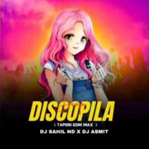 DISCO PILA (TAPORI EDM MIX) DJ SAHIL ND DJ ASMIT.mp3