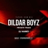 DILDAR BOYZ PRIVATE TRACK (NAUGHTY BASS MIX) DJ HARRY