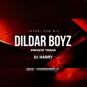 DILDAR BOYZ PRIVATE TRACK (NAUGHTY BASS MIX) DJ HARRY.mp3