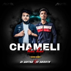 CHAMELI HAI HAI 2.0 (PRIVATE HYBRID TAPORI MIX) DJ ADITYA X DJ SOMNTH.mp3