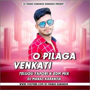 O PILAGA VENKATI (NEW TELUGU TAPORI X EDM DANCE MIX) DJ MANAS KARANJIA.mp3