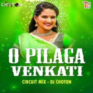 O Pilaga Venkati (Circuit Mix) Dj Choton.mp3