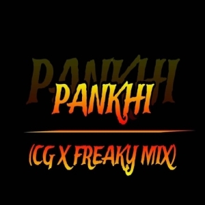 PANKHI (SAMBALPURI CG X FREAKY) DJ SAFI TALCHER.mp3