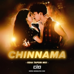 CHINNAMA (TAPORI MIX) DJ C2O.mp3