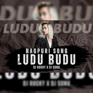 LUDU BUDU SAG (TAPORI EDM MIX) DJ ROCKY X DJ SONU.mp3