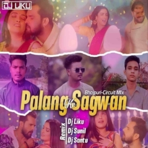 Palang Sagwan Tut Jaye Raja Ji (Circuit Mix) Dj Liku X Dj Santu X Dj Sunil.mp3