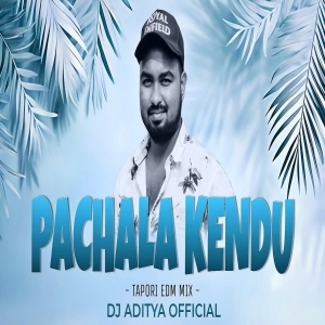 Pachala Kendu (Edm Tapori Mix) Dj Aditya Official.mp3