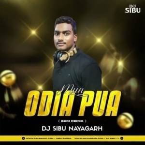 Mun Odia Pua Bhari Swabhimani (Edm Remix) Dj Sibu Naygarh.mp3