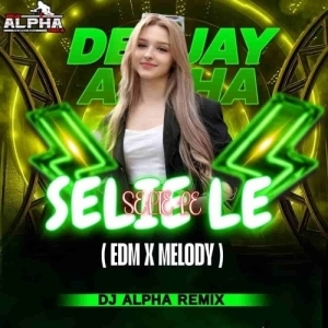 SELIE LE SELIE LE (EDM X MELODY) DJ ALPHA.mp3