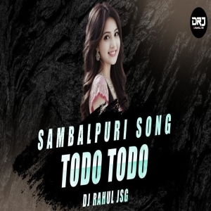 BHAL PAUCHHUN TODO TODO (TAPORI EDM MIX) DJ RAHUL JSG.mp3