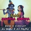 Radha Jauthila Jamuna (Edm x Circuit) Dj Sibu Nayagarh x Dj Papu Official