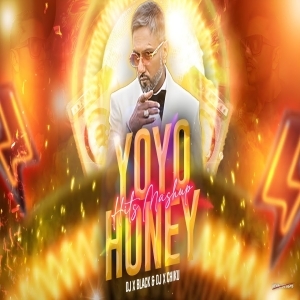 Yo Yo Honey Singh Hits Mashup Millionare X Payal X Brown Rang Dj X Black.mp3