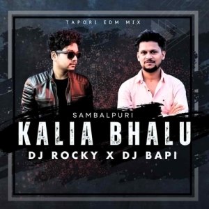 KALIA BHALU (TAPORI EDM MIX) DJ ROCKY X DJ BAPI.mp3