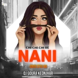 CHI CHI RE NANI (SOUTH STYLE MIX) DJ GOURA KEONJHAR.mp3