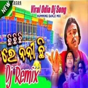 Chi Chi Re Nani Viral Odia Song (Fadu Tapori Style Mix) Dj Aju Basudevpur.mp3