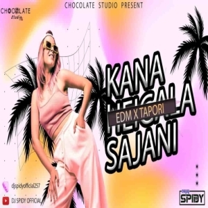 KANA HEIGALA SAJANI (EDM X TAPORI) DJ SPIDY OFFICIAL.mp3